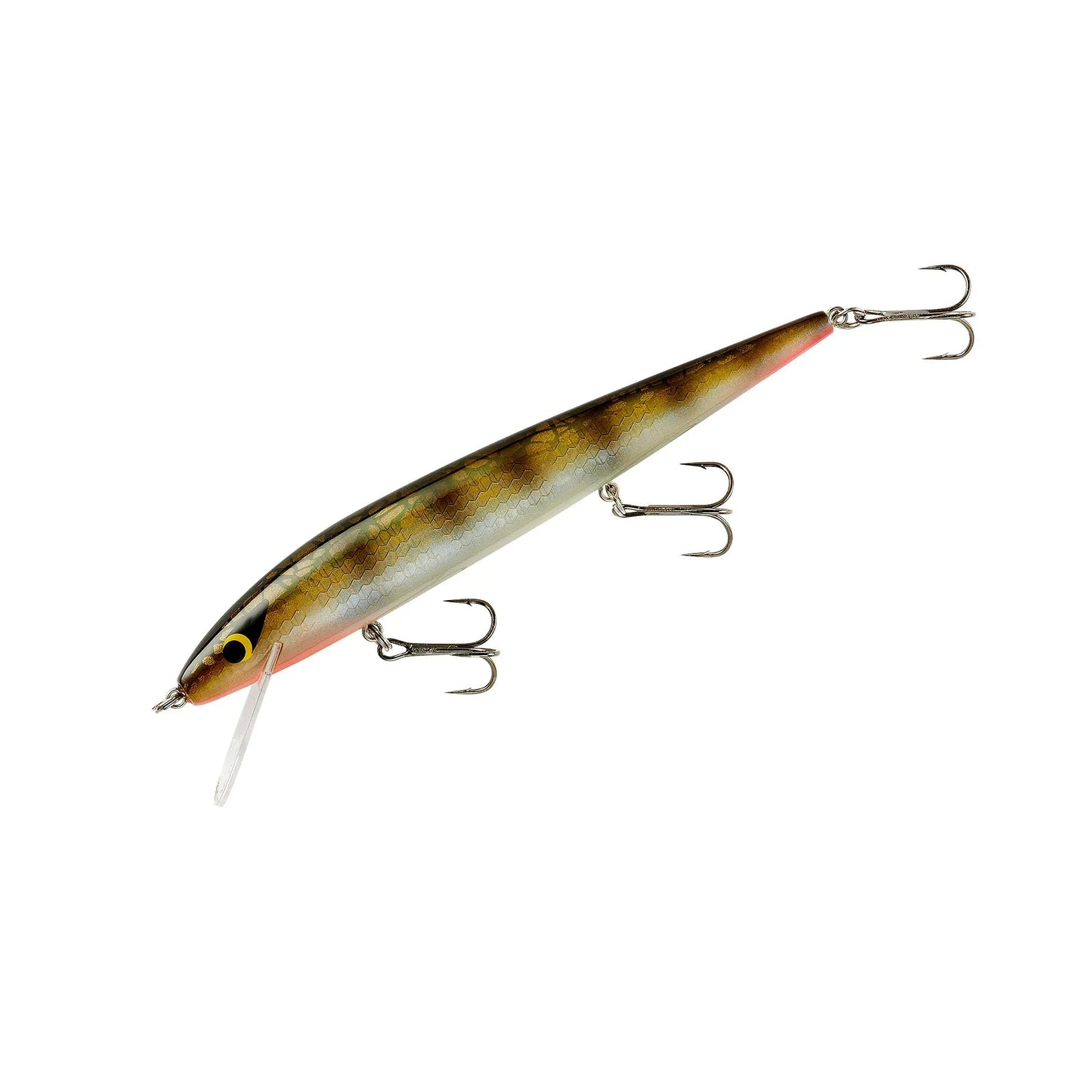 Smithwick Perfect 10 Rogue 5.5" 5/8oz - Lerch - Lucky Lure Tackle