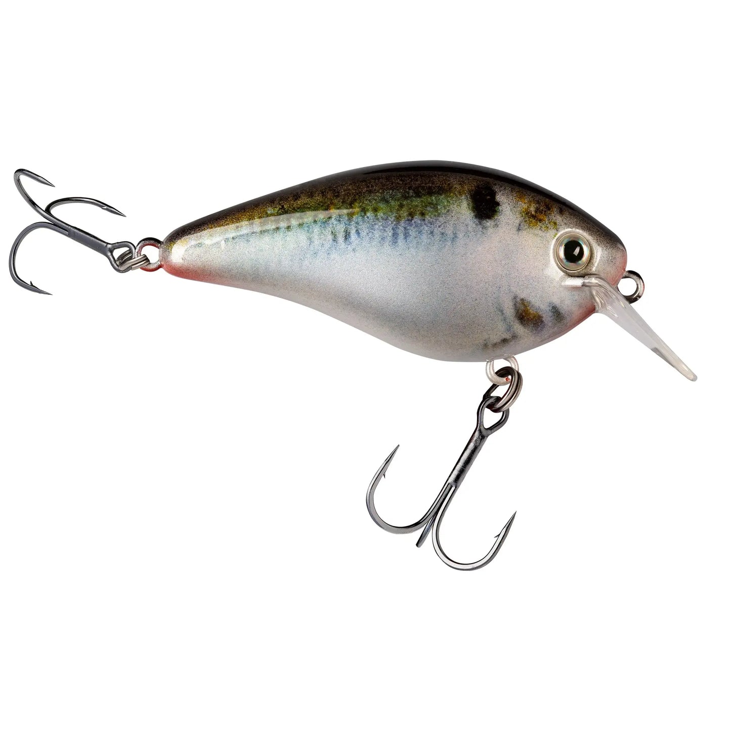Strike King KVD 1.5 Hard Knock - Natural Shad - Lucky Lure Tackle