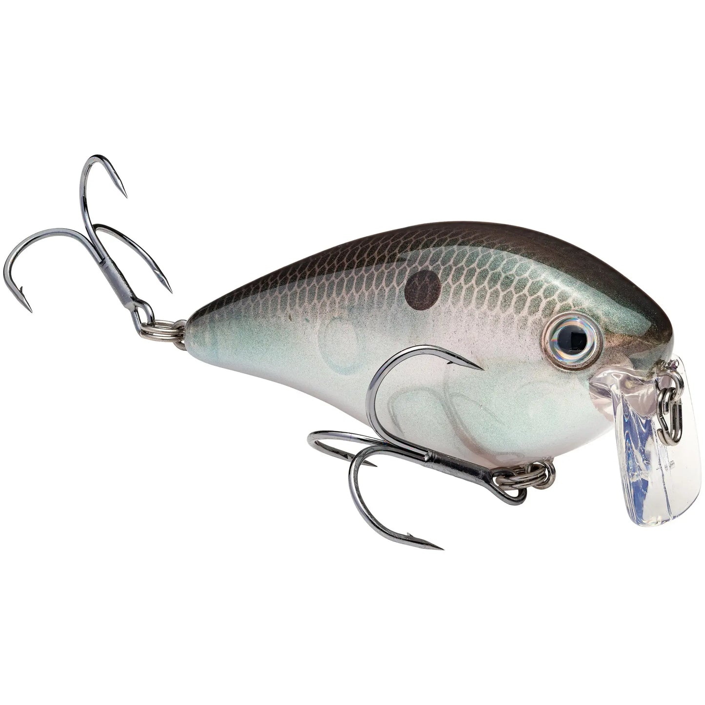 Strike King KVD 2.5 Wake Bait - Green Gizzard Shad - Lucky Lure Tackle