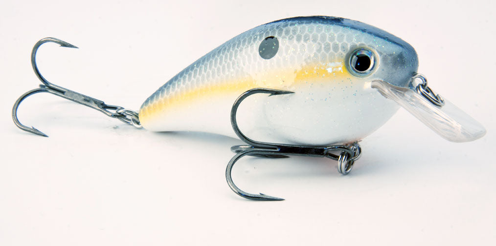 Strike King KVD Square Bill 1.0 - Sexy Shad