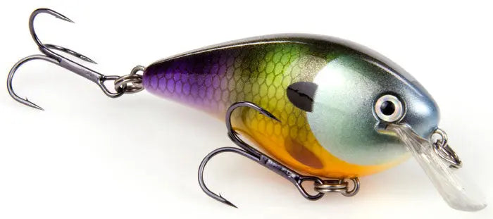 Strike King KVD Square Bill 1.5 - Neon Bluegill - Lucky Lure Tackle