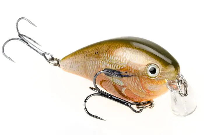 Strike King KVD Shallow Square Bill 1.5 - Orange Bream - Lucky Lure Tackle