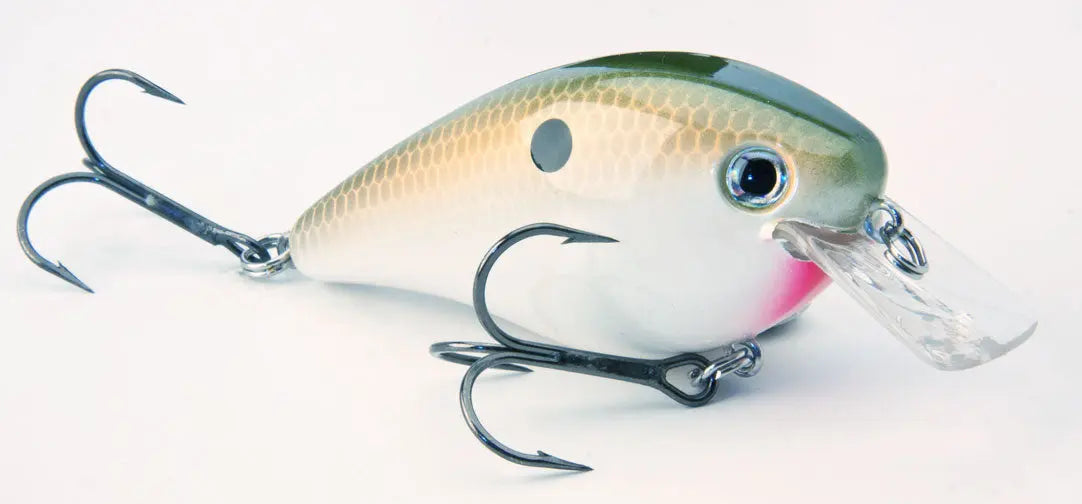 Strike King KVD Square Bill 2.5 - TN Shad - Lucky Lure Tackle