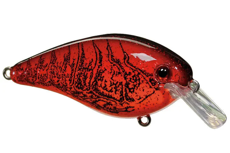 Strike King KVD Square Bill 2.5 - Chili Craw - Lucky Lure Tackle