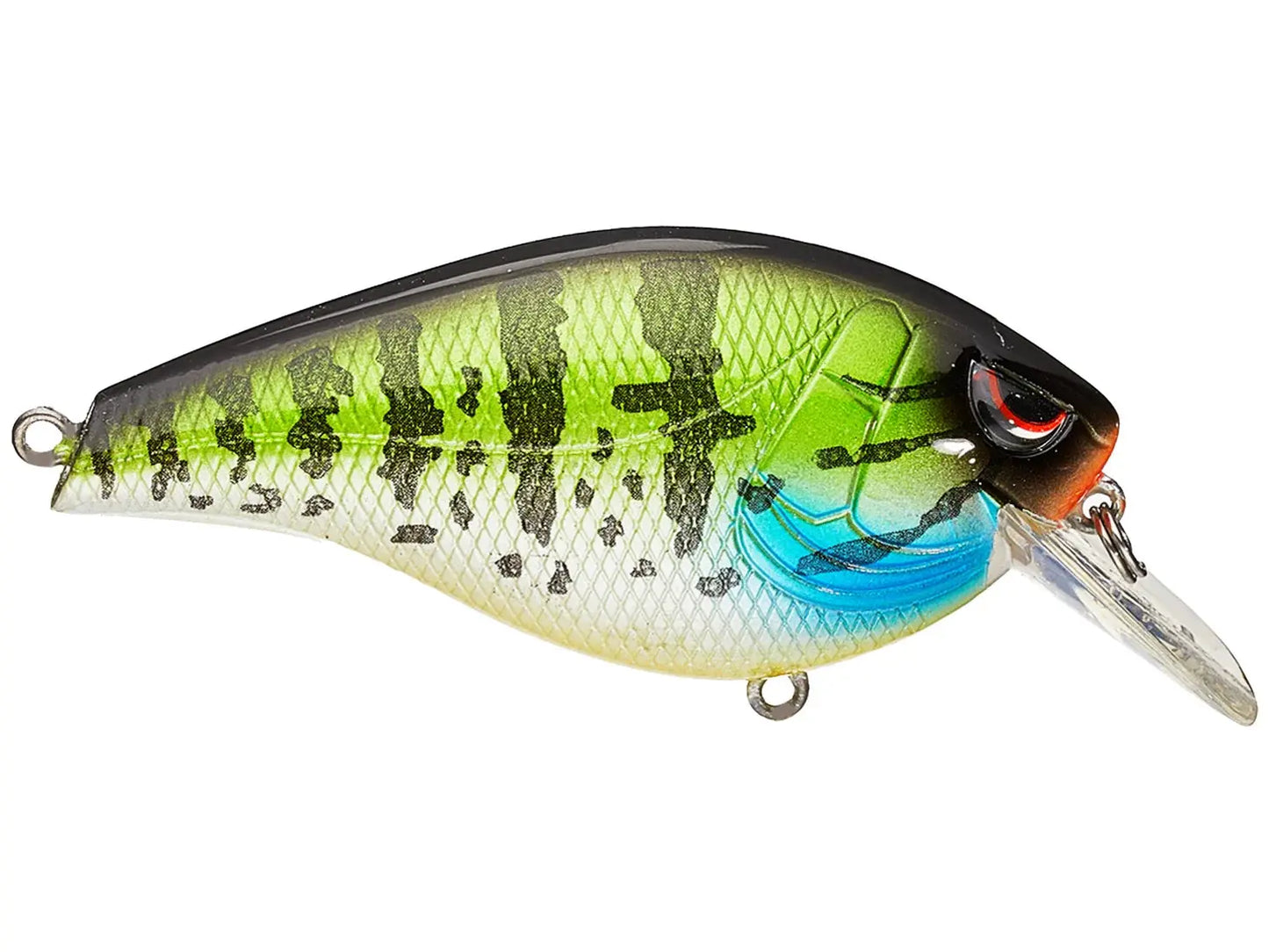 HUNTER 65 SB PUMPKINSEED SPRO