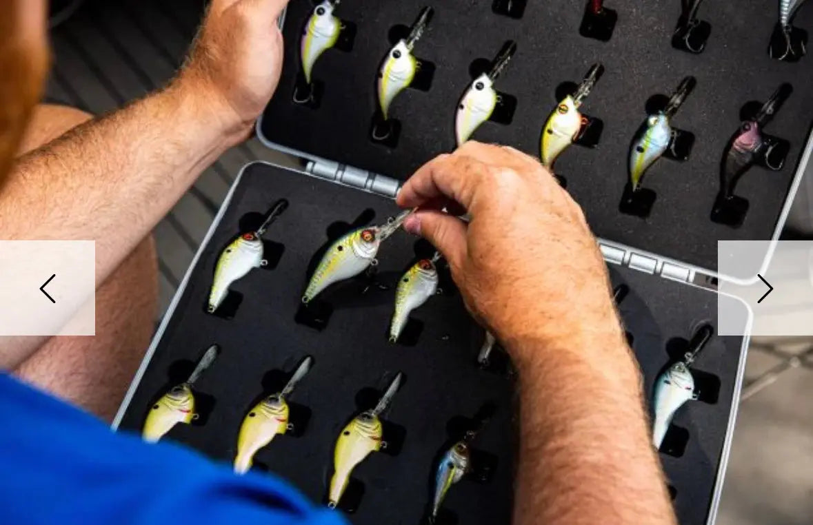 6th Sense Bait Chamber - Medium Crankbait - Lucky Lure Tackle