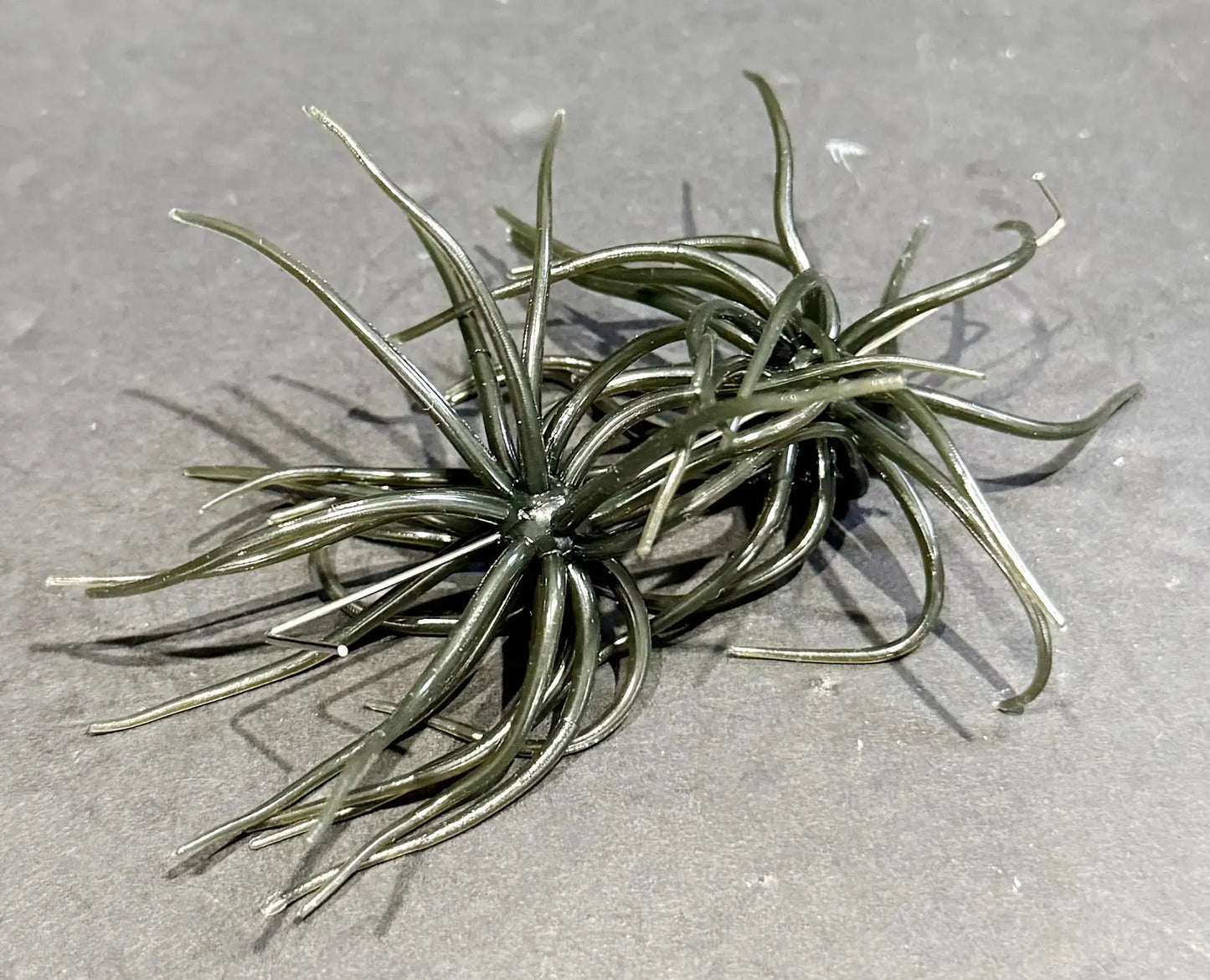 Hag’s Prickly Pear 9.9mm Texas Tuxedo 2pc - Lucky Lure Tackle