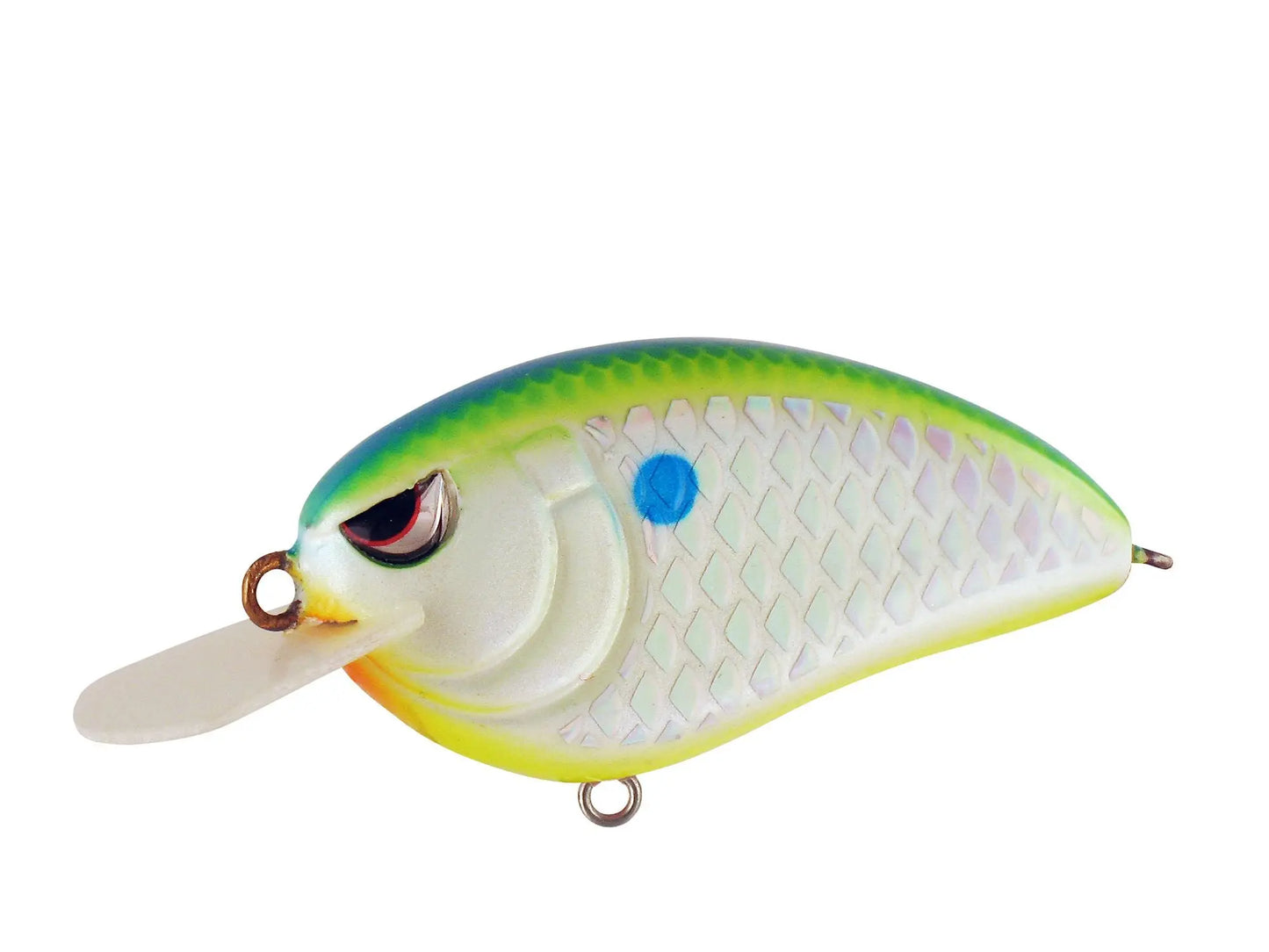Spro LITTLE JOHN 50 - CITRUS SHAD - Lucky Lure Tackle