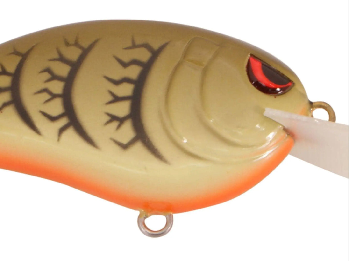 Spro LITTLE JOHN 50 - GREEN PUMPKIN - Lucky Lure Tackle