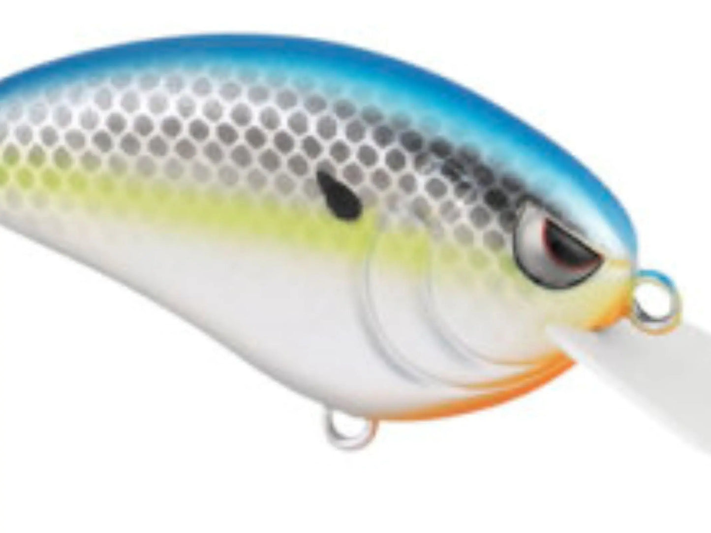 LITTLE JOHN 50 MATTE SEXY CHROME - Lucky Lure Tackle