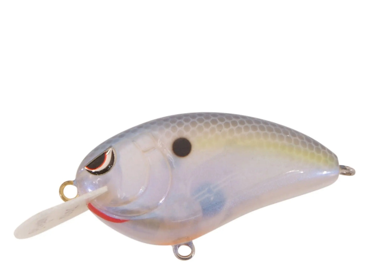 Spro LITTLE JOHN 50 - SPOOKY NASTY - Lucky Lure Tackle