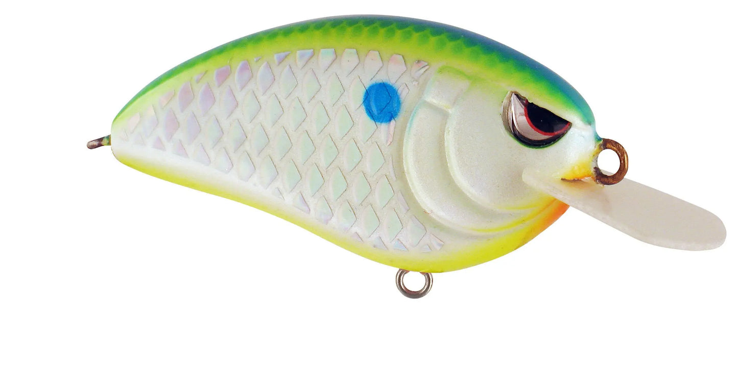 Spro LITTLE JOHN TR 50 CITRUS SHAD SPRO