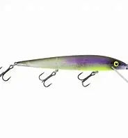 Smithwick Perfect 10 Rogue 5.5" 5/8oz - FX Northern Lights - Lucky Lure Tackle