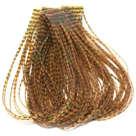 Wapsi Sili Legs Barred - Green Pumpkin Orange