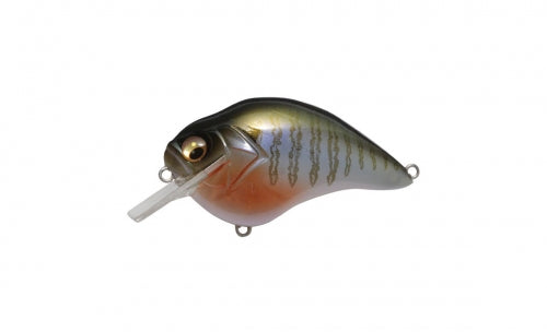 Megabass PopMax Gill