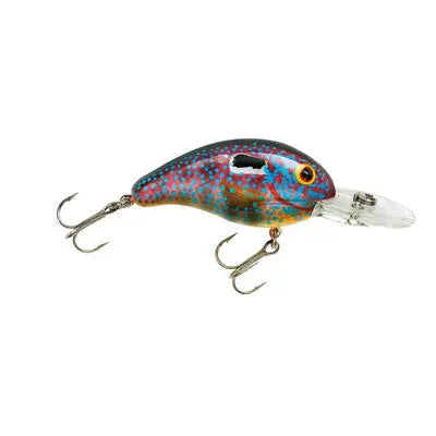 Bandit 200 - Sun Perch - Lucky Lure Tackle