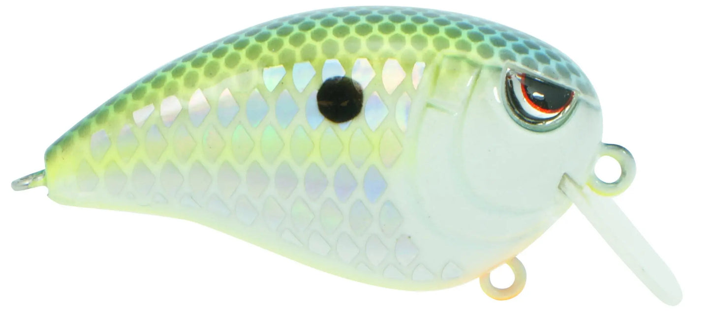 FAT JOHN 50 CITRUS NASTY SPRO