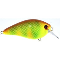 Strike King KVD Square Bill 1.5 - Pineapple Smash