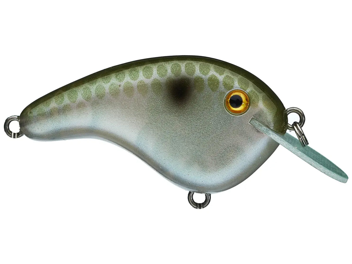Strike King Chick Magnet Jr. Flat Sided Crankbait