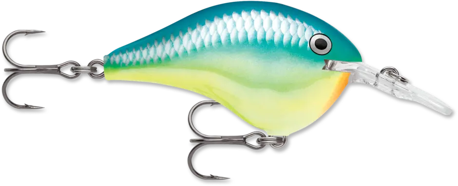 Rapala Dives-To 06 - Caribbean Shad - Lucky Lure Tackle
