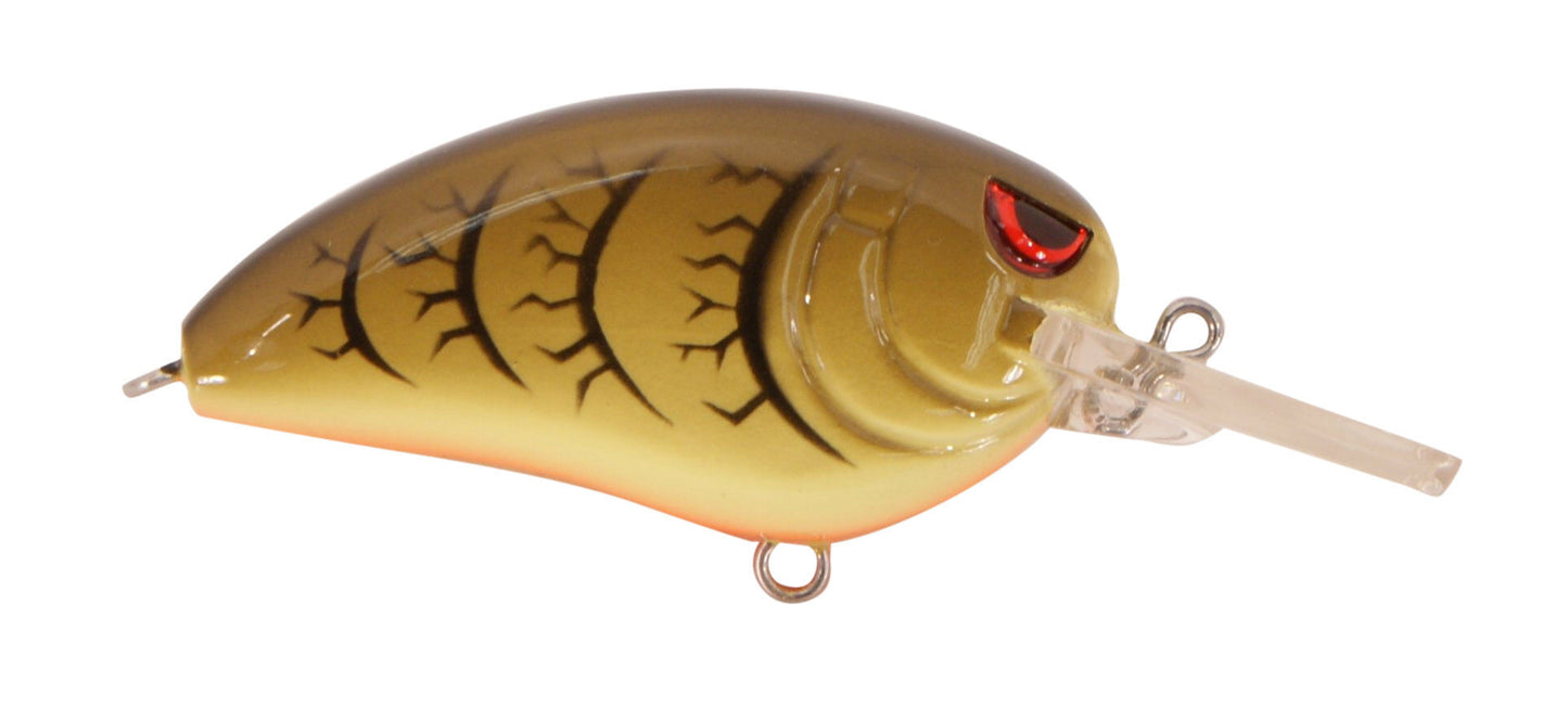 LITTLE JOHN MD GREEN PUMPKIN
