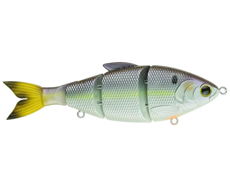 6th Sense Trace 6" Slow Sink - Wild Shad - Lucky Lure Tackle