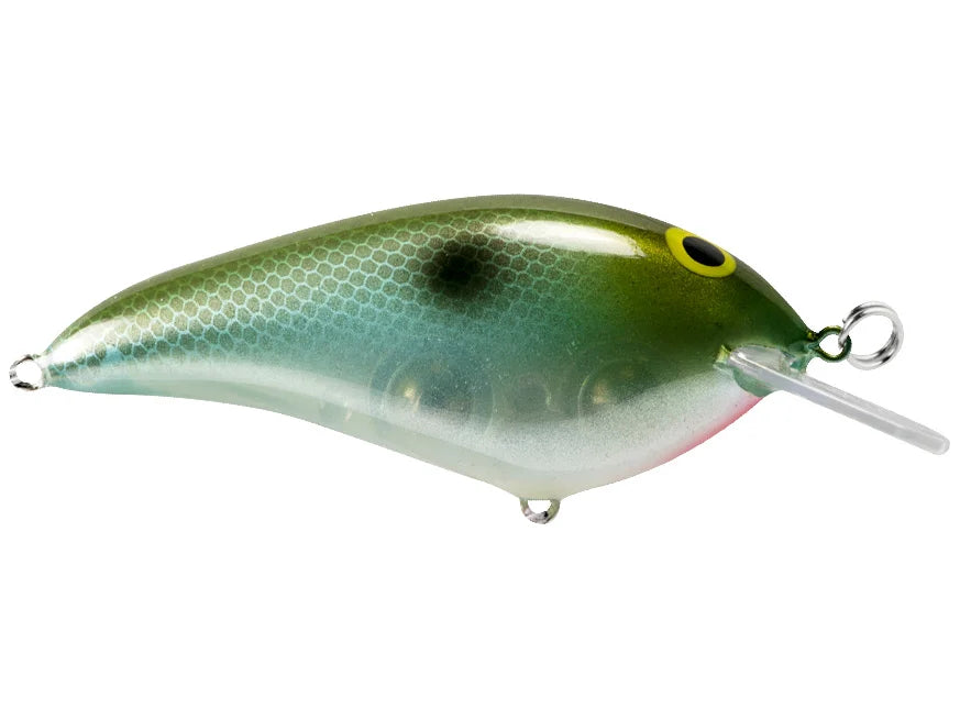 Norman Speed N - Olive Blue