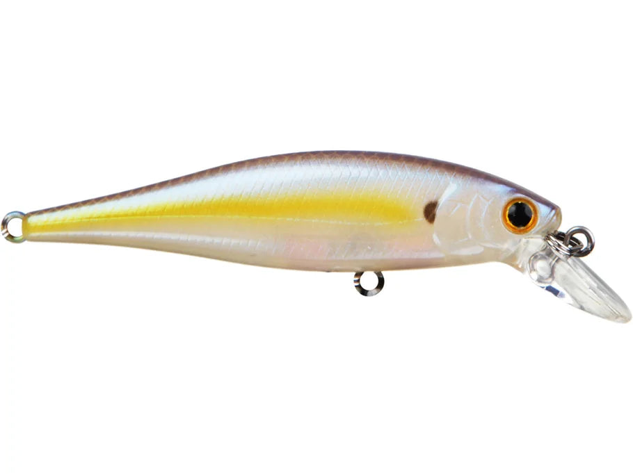 Pointer 100 SP Sexy Chartreuse Shad