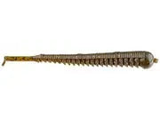 Gene Larew 3.75" Ned Rig Inch Worm 7pk - Montezuma's Revenge - Lucky Lure Tackle