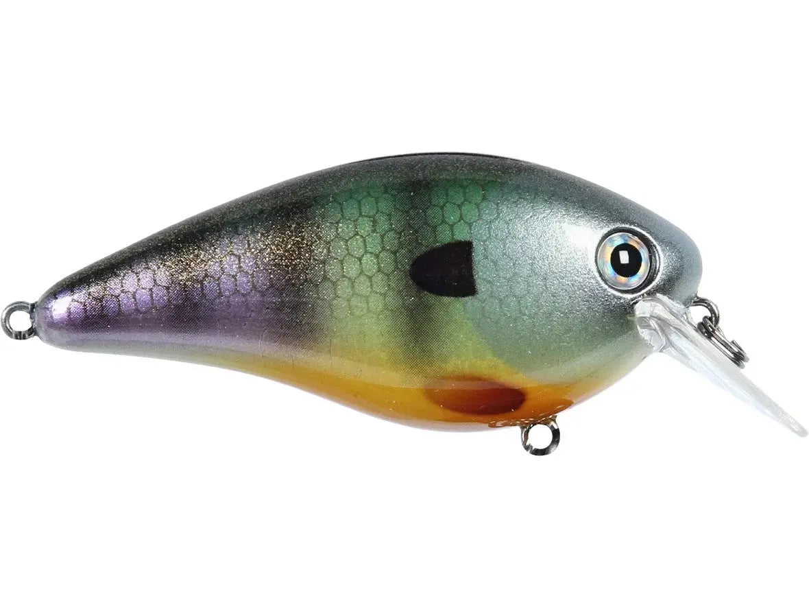 Strike King KVD Squarebill 2.5 - Neon Bluegill - Lucky Lure Tackle