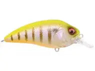 Megabass Super-Z Z1 Crankbait 2" 1/4oz - PM Hot Gill II - Lucky Lure Tackle