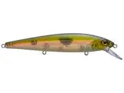 Strike King KVD 300 Jerkbait 1/2oz - Pro Shizzle - Lucky Lure Tackle