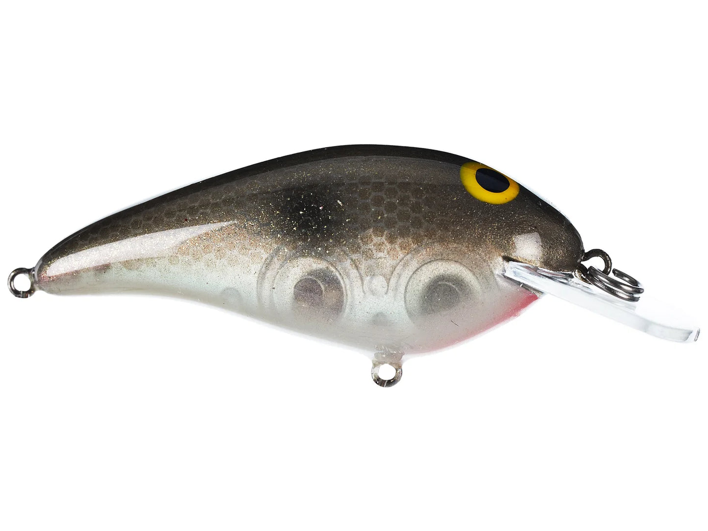 Norman Speed N Jr. - Holy Shad