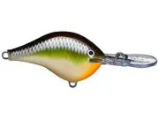 Rapala DT-8 - Smash - Lucky Lure Tackle