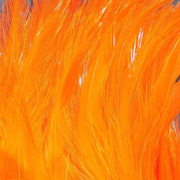 Wapsi Neck Hackle Strung - FL Orange