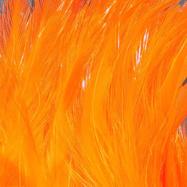 Wapsi Neck Hackle Strung - FL Orange Wapsi