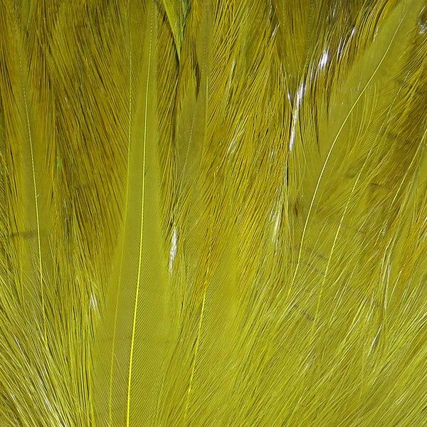 Wapsi Neck Hackle Strung - Olive
