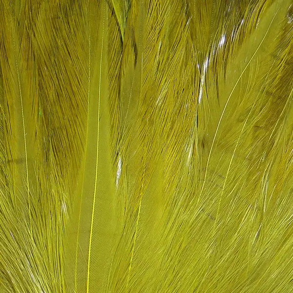 Wapsi Neck Hackle Strung - Olive - Lucky Lure Tackle