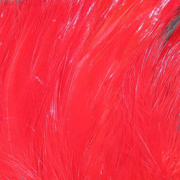 Wapsi Neck Hackle Strung - FL Red - Lucky Lure Tackle