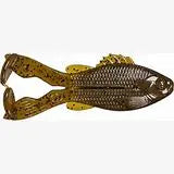 6th Sense Buzzgill 4.0"- Green Pumpkin - Lucky Lure Tackle