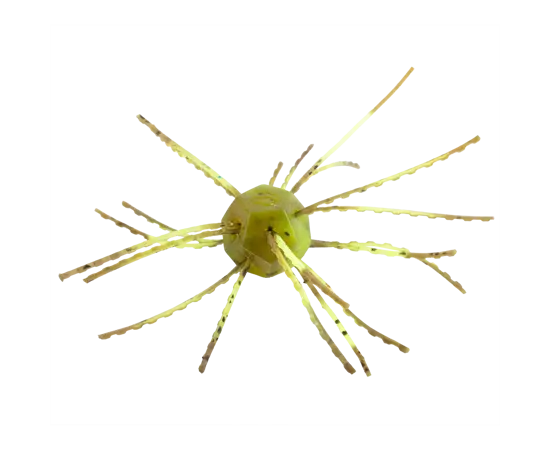 Strike King Tumbleweed Salted 3" - Summer Craw - Lucky Lure Tackle