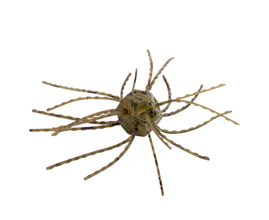 Strike King Tumbleweed Salted 3" - Green Pumpkin 4pk - Lucky Lure Tackle
