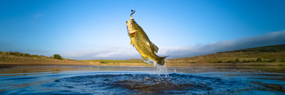 Reel in the Fun: Exploring the Best Fishing Spots in Oklahoma City