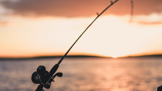 Finding Your Perfect Fit: A Guide to Choosing the Best Fishing Rod