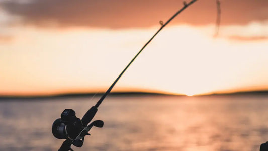 Finding-Your-Perfect-Fit-A-Guide-to-Choosing-the-Best-Fishing-Rod Lucky Lure Tackle