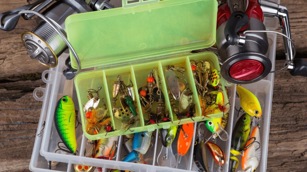 Mastering the Art of Choice: Selecting the Perfect Fishing Bait