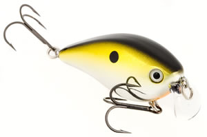 Strike King KVD Shallow Runner 1.5 - Gold Black Back