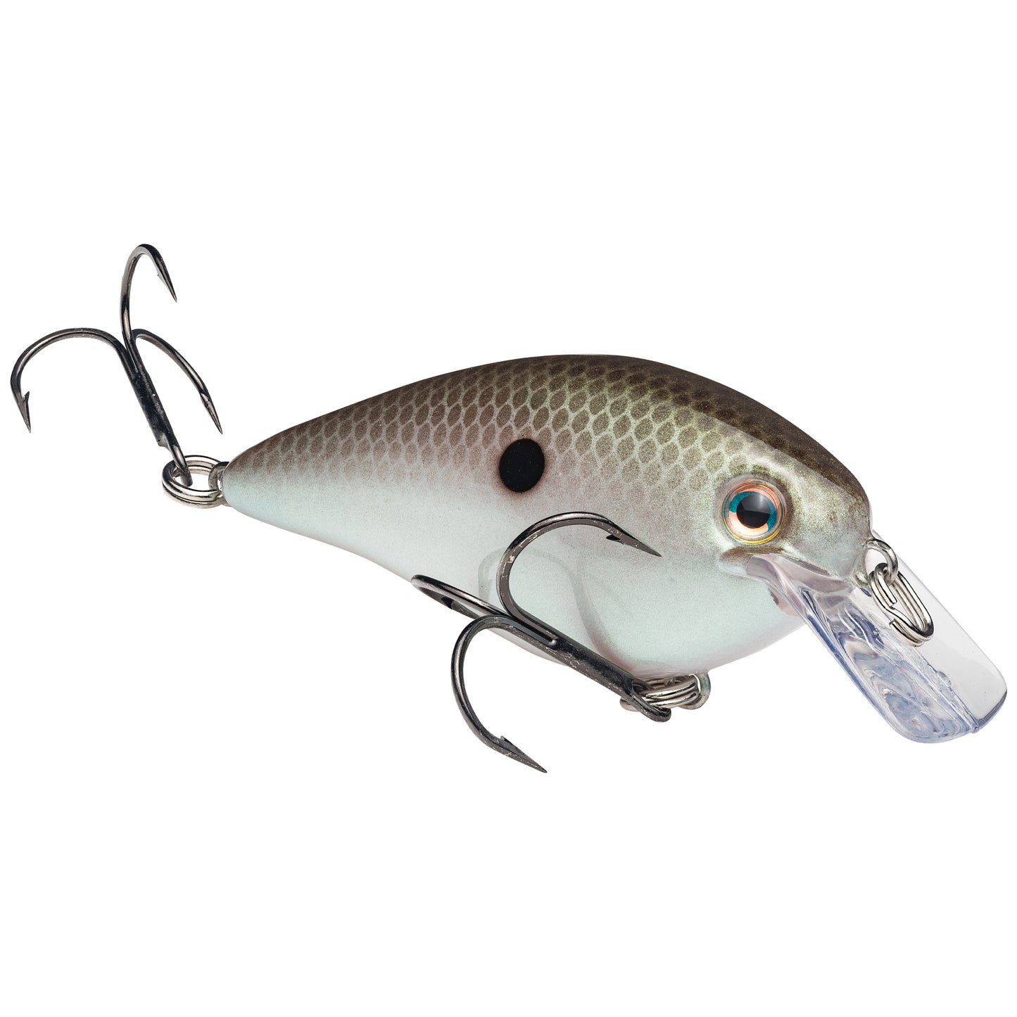 Strike King KVD Square Bill 1.5 - Green Gizzard Shad