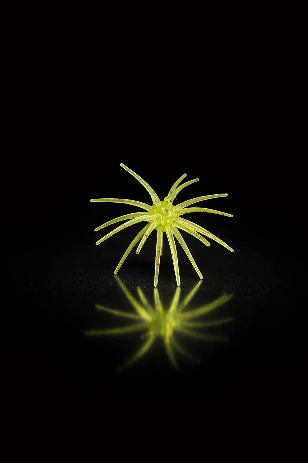 Hag's Prickly Pear 19mm - Rojo Sandia - Lucky Lure Tackle 