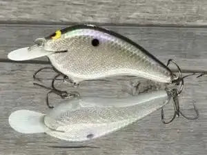 Black Label Balsa Slim - Gizzard Shad Foil Pr1mal Black Label